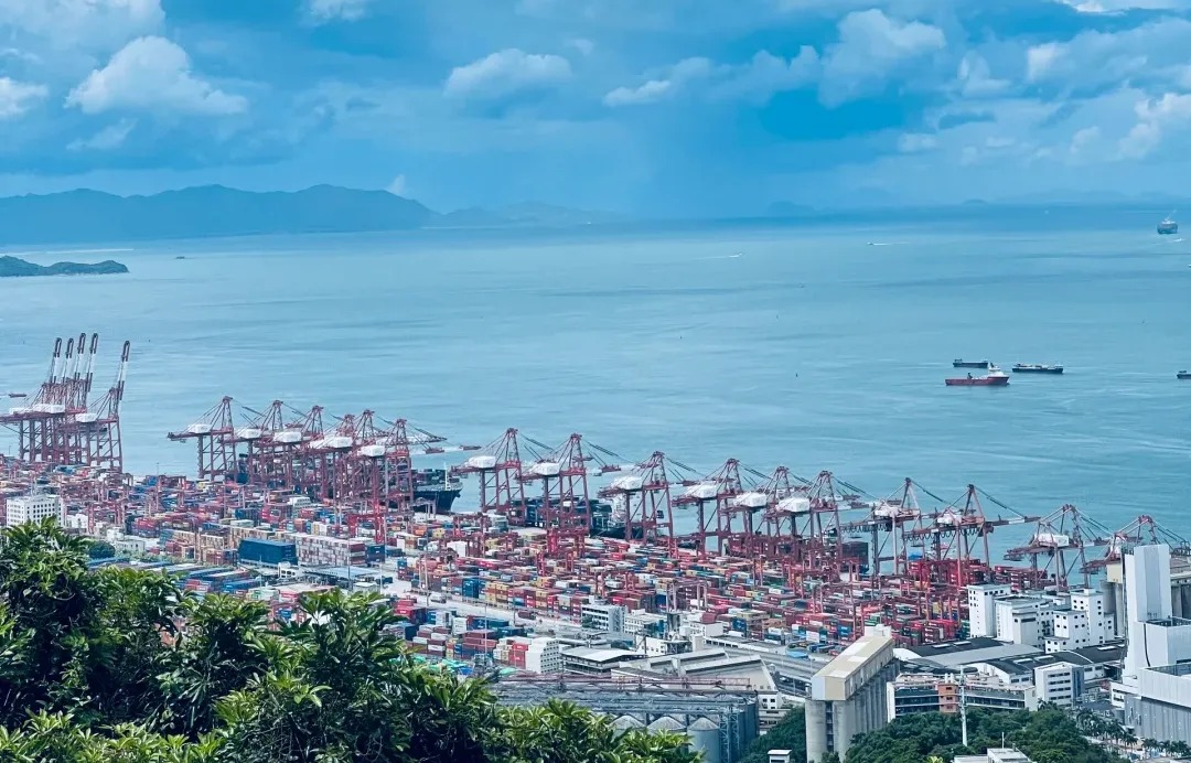 海运刑孤守读：首次内贸集装箱运输指南