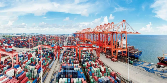 什么是海运口岸服务？？？？？？