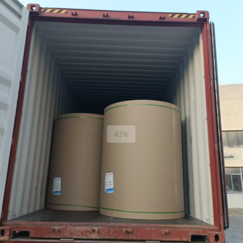 原木卷纸、纸张可以走集装箱海运吗，，，，，，，需要注重什么？？？？？