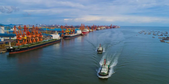 什么是集装箱船舶内贸海运转外贸？？？？？？？