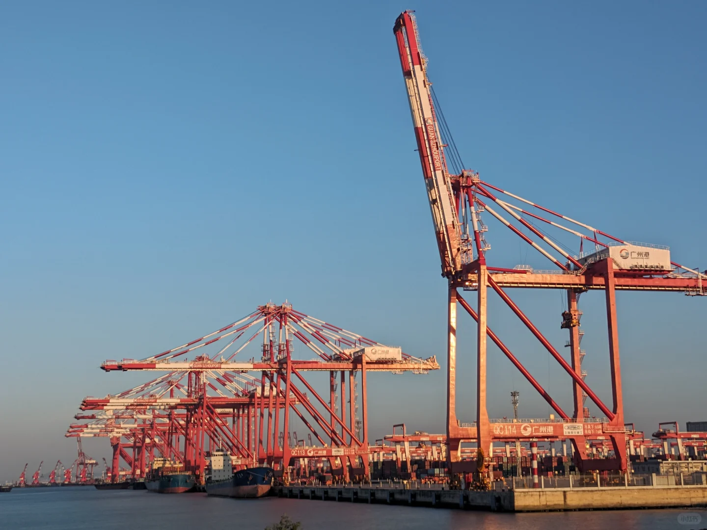 怎样明确海运中的“甩柜”？？？？？