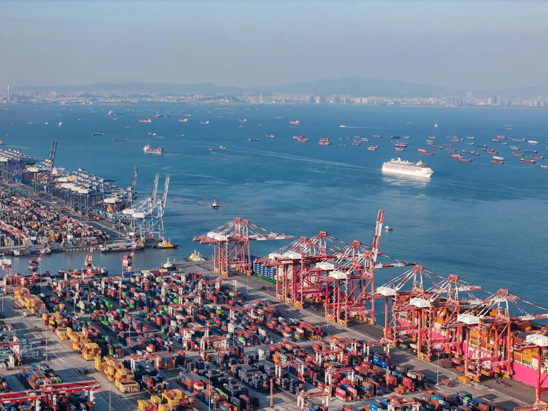 海运订舱，，，，，，直接找船公司真的更划算吗？？？？？？